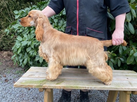 WhatsApp Image 2025 01 28 At 15.49.00 480x360